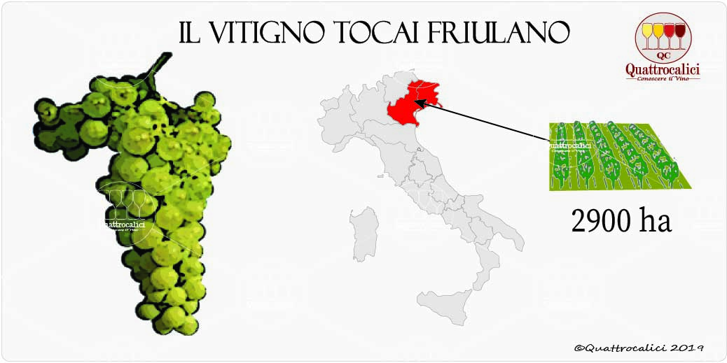 vitigno tocai friulano