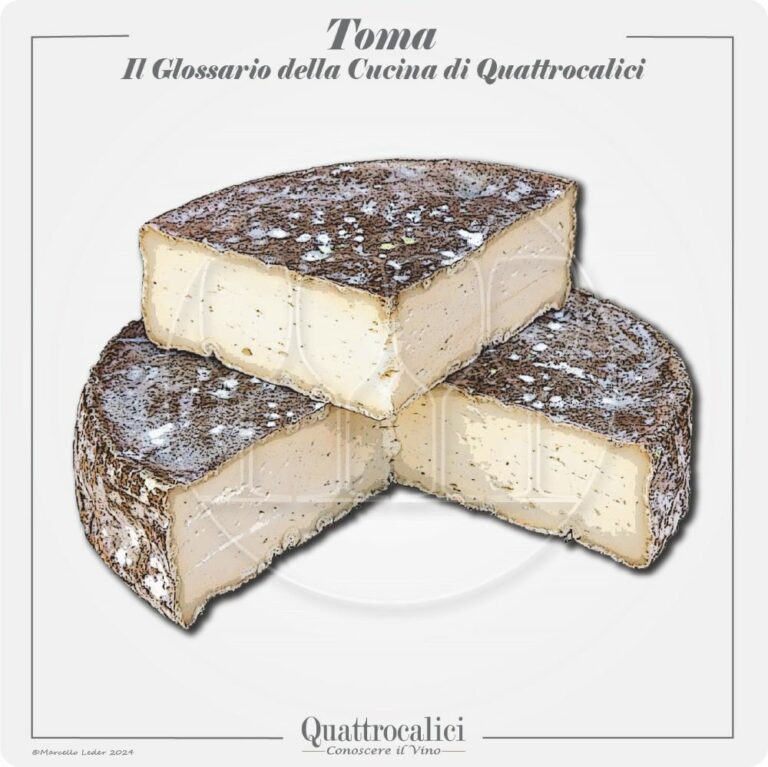 La toma: il formaggio e i suoi vini in abbinamento