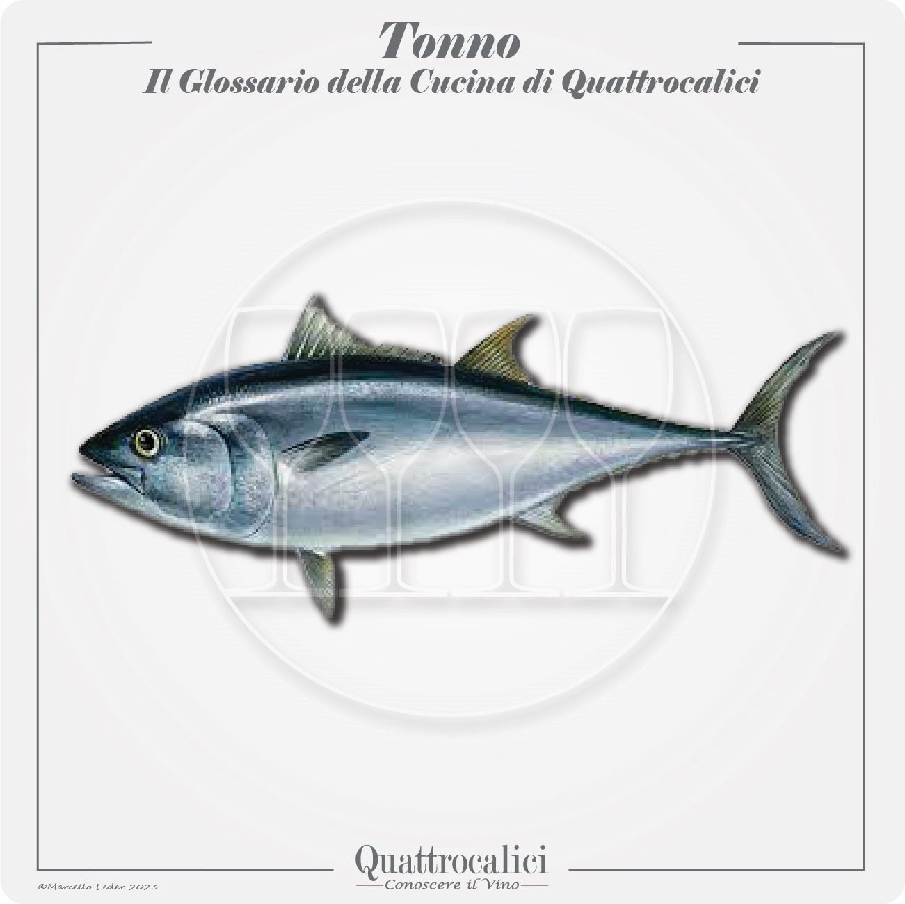 il tonno in cucina e con il vino
