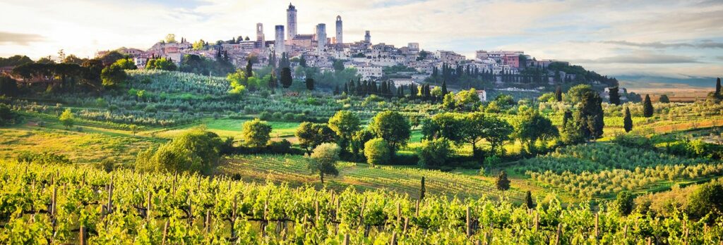 Il vino in toscana