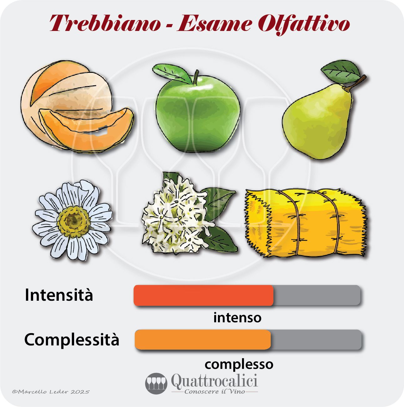 L'esame olfattivo dei vini trebbiano