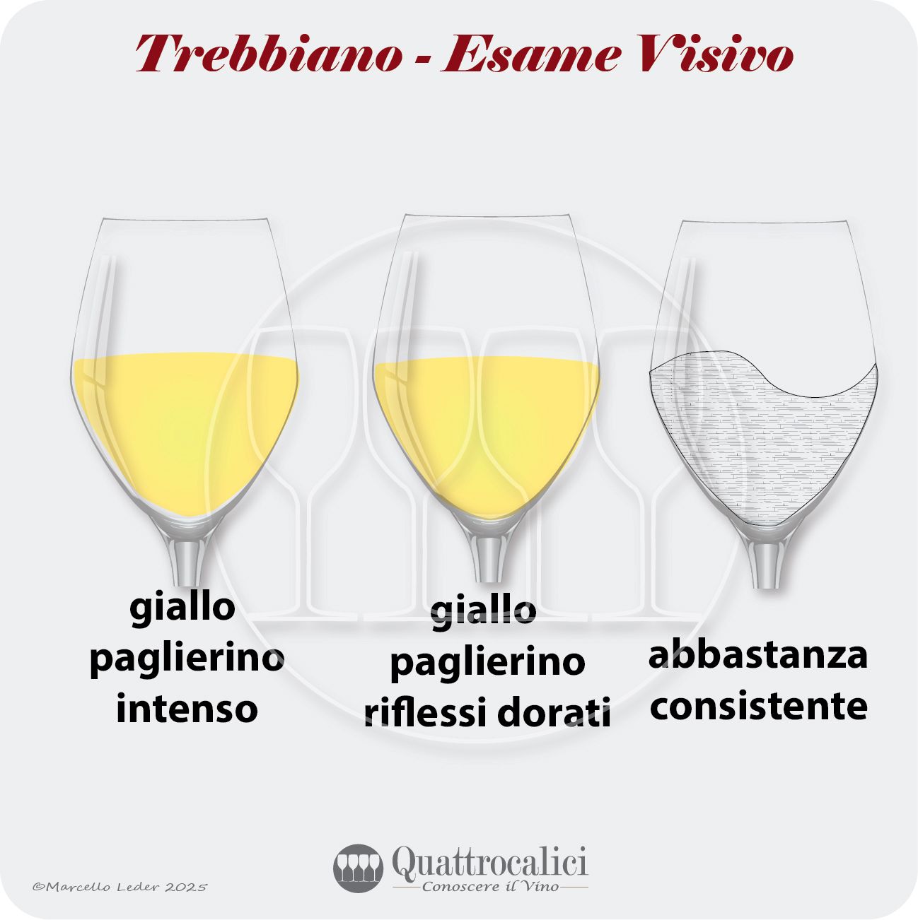 L'esame visivo dei vini trebbiano