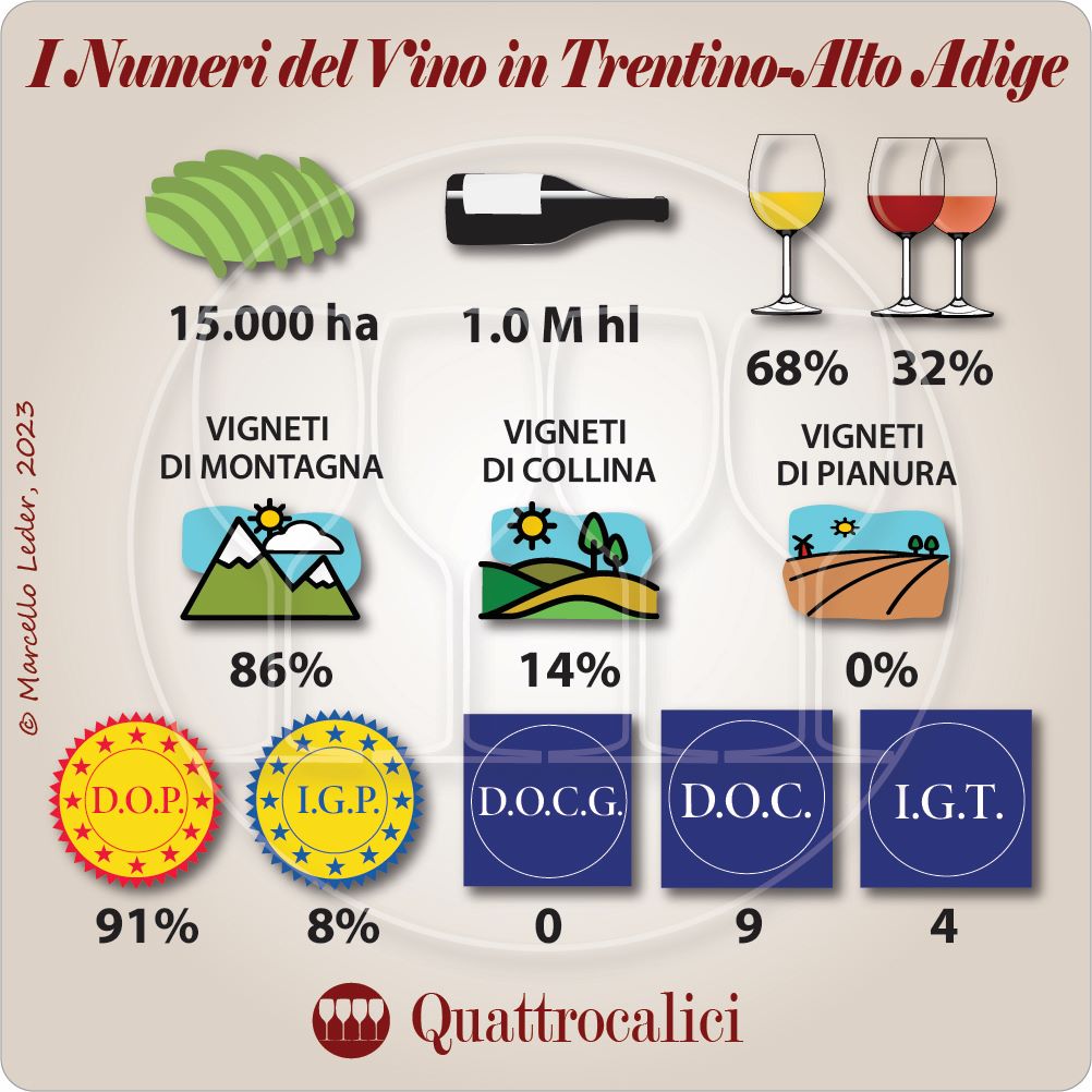 i numeri del vino in trentino-alto adige