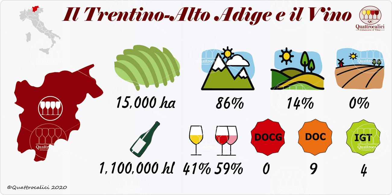 vino e vini in trentino-alto adige