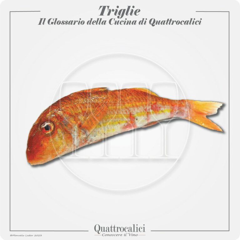 le triglie in cucina e con il vino