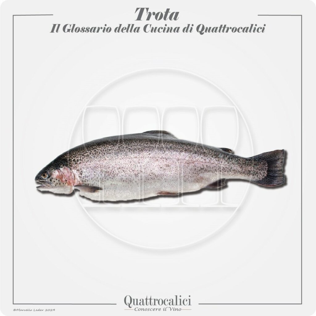 la trota in cucina e con il vino