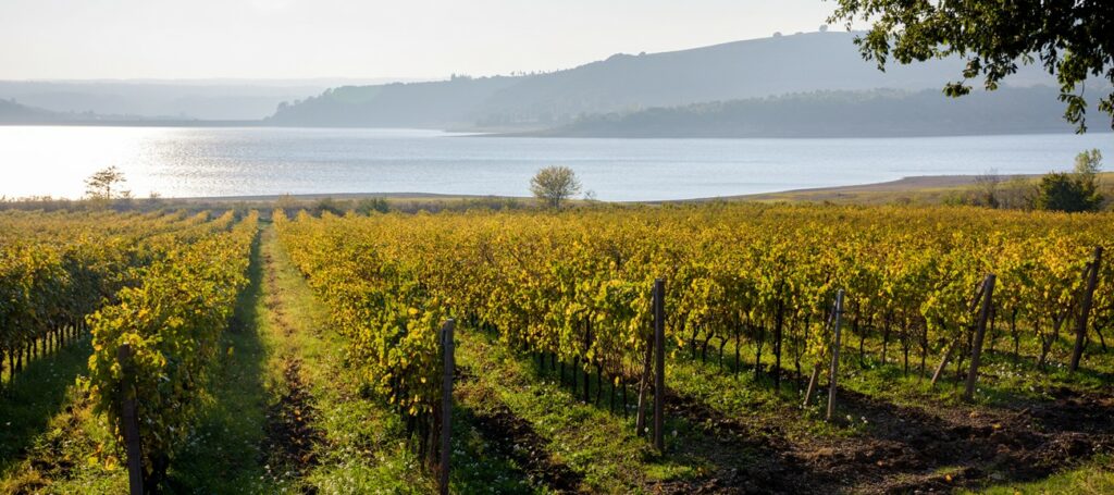 Il vino in Umbria