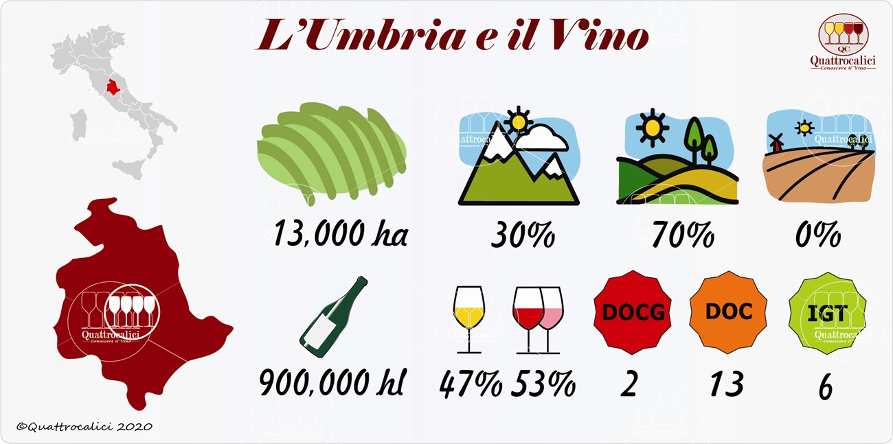 vino e vini in umbria