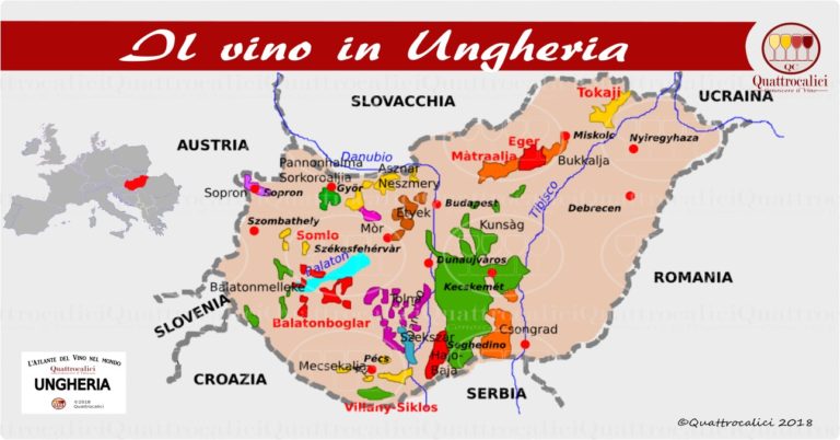 L'Ungheria e il vino