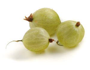 Il profumo di uva spina nei vini