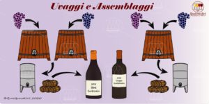 uvaggi, assemblaggi, tagli e cuvées