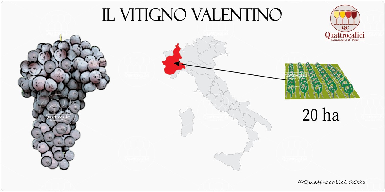 vitigno valentino