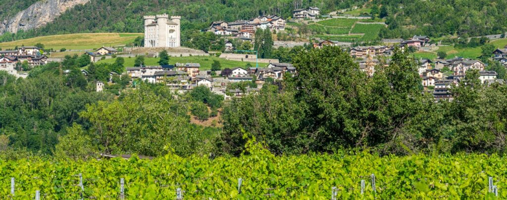Il vino in Valle d'Aosta