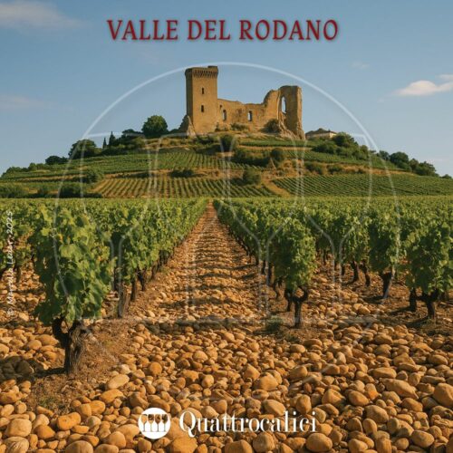 i vini della valle del rodano