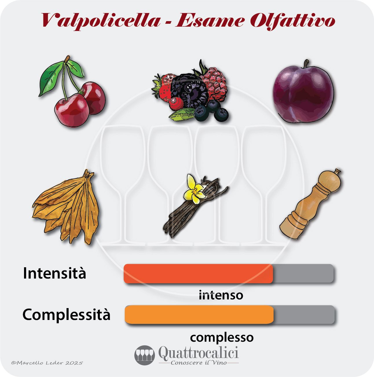 L'esame olfattivo dei vini Valpolicella