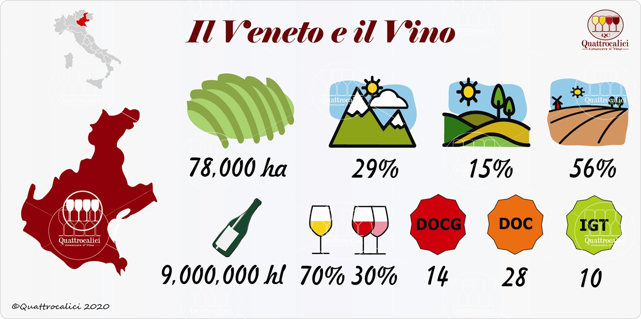 vino e vini nel veneto