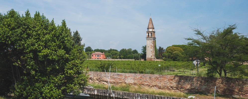 La provincia di Venezia e il vino