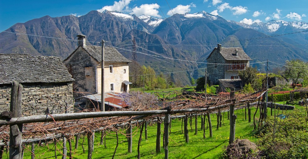 provincia verbano-cusio-ossola vino