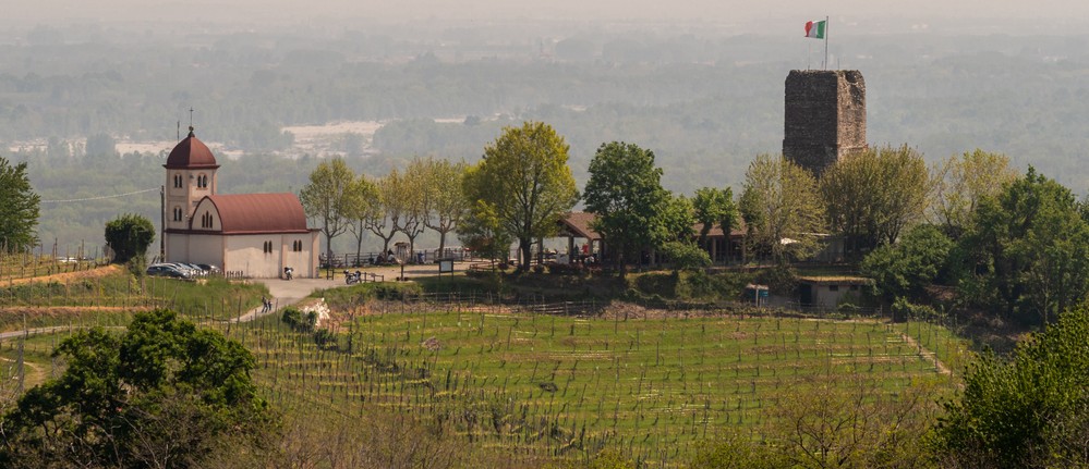 provincia vercelli vino