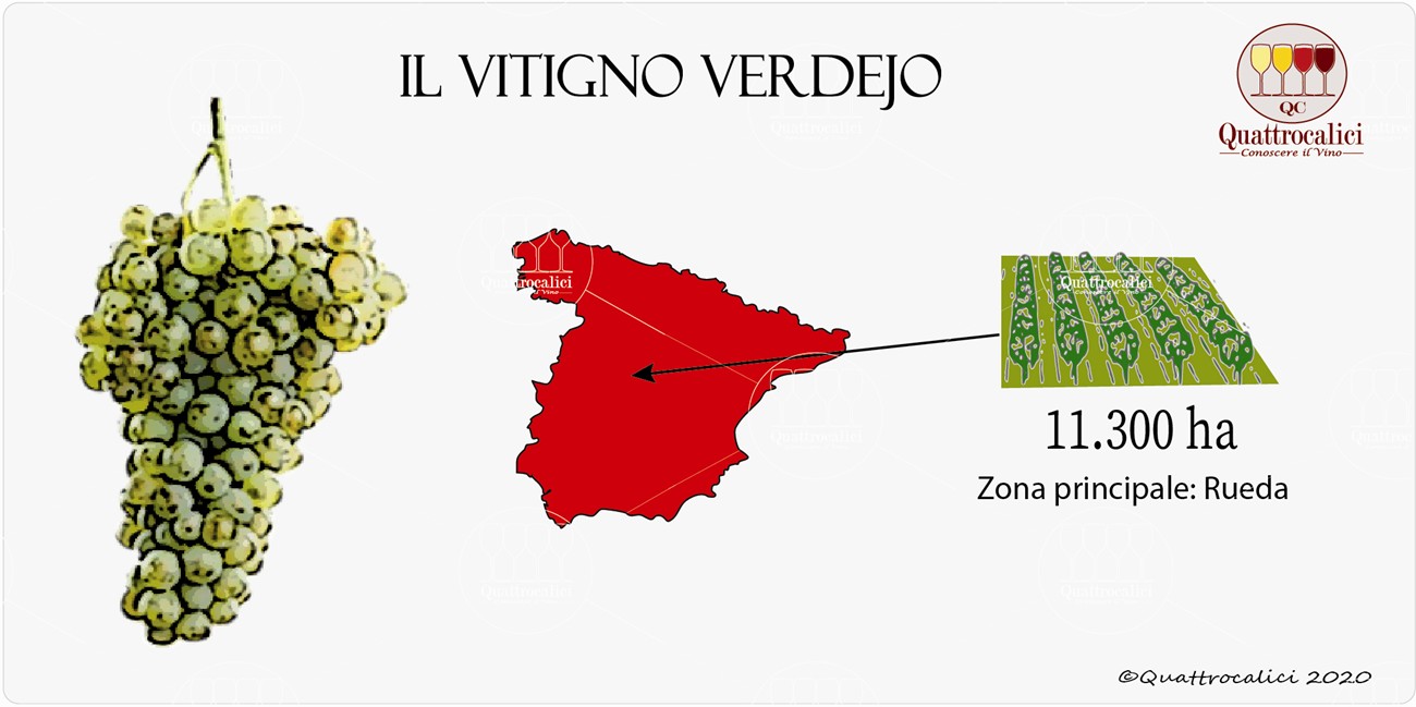 vitigno verdejo