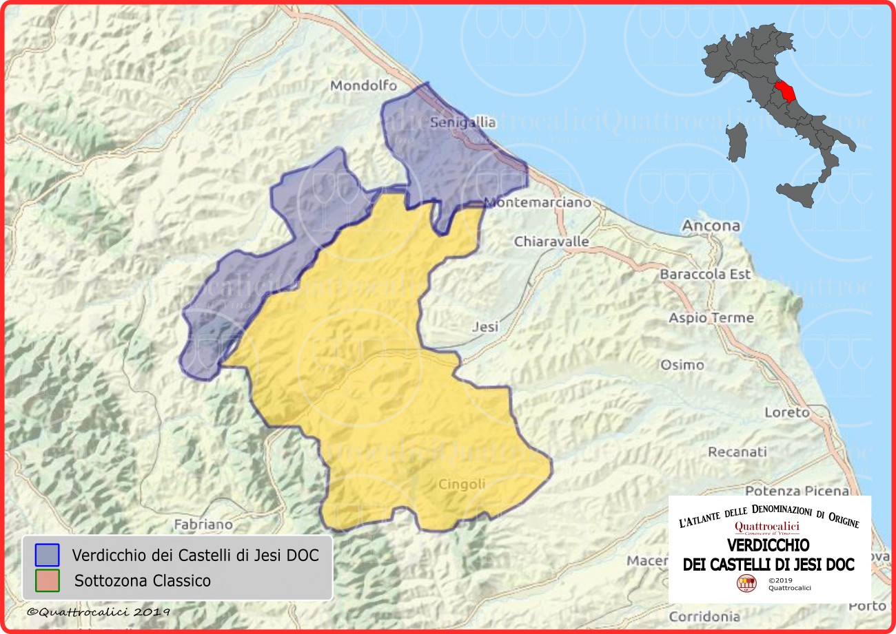 Cartina Verdicchio dei Castelli di Jesi DOC