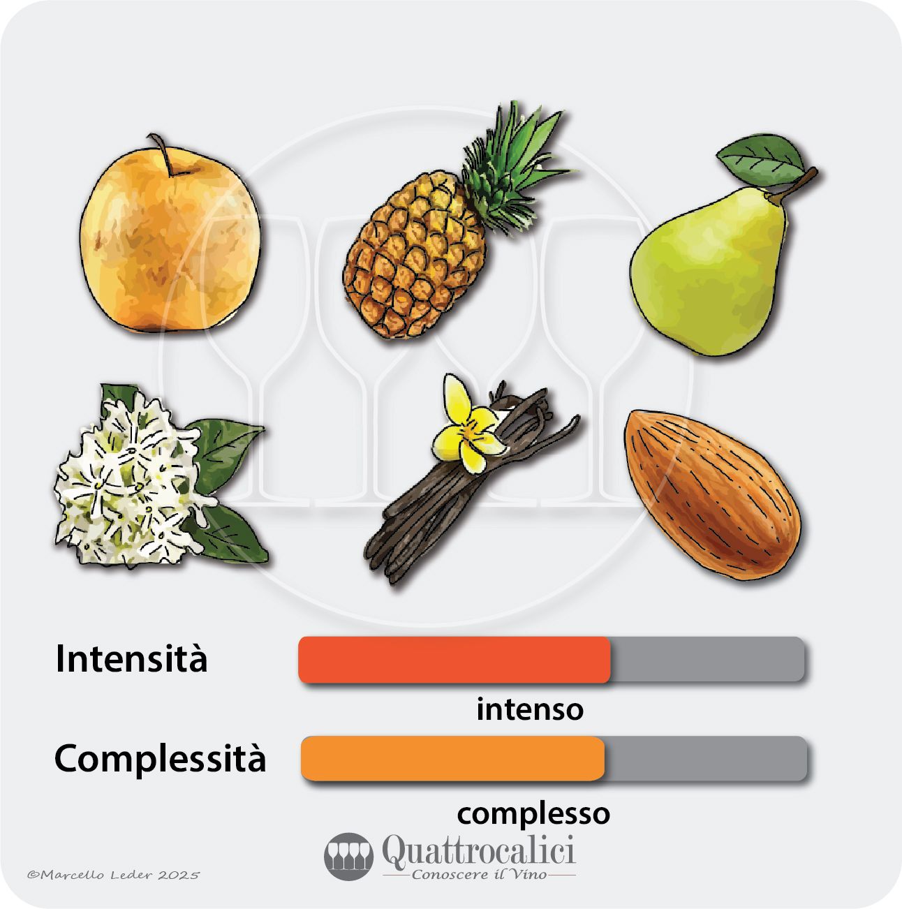 L'esame olfattivo dei vini Verdicchio