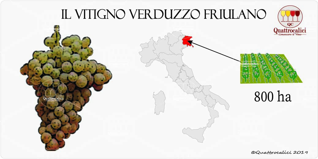 vitigno verduzzo friulano