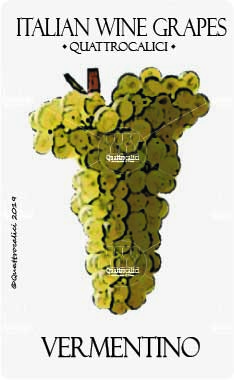 vermentino vitigno
