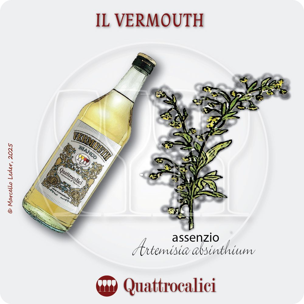il vermouth