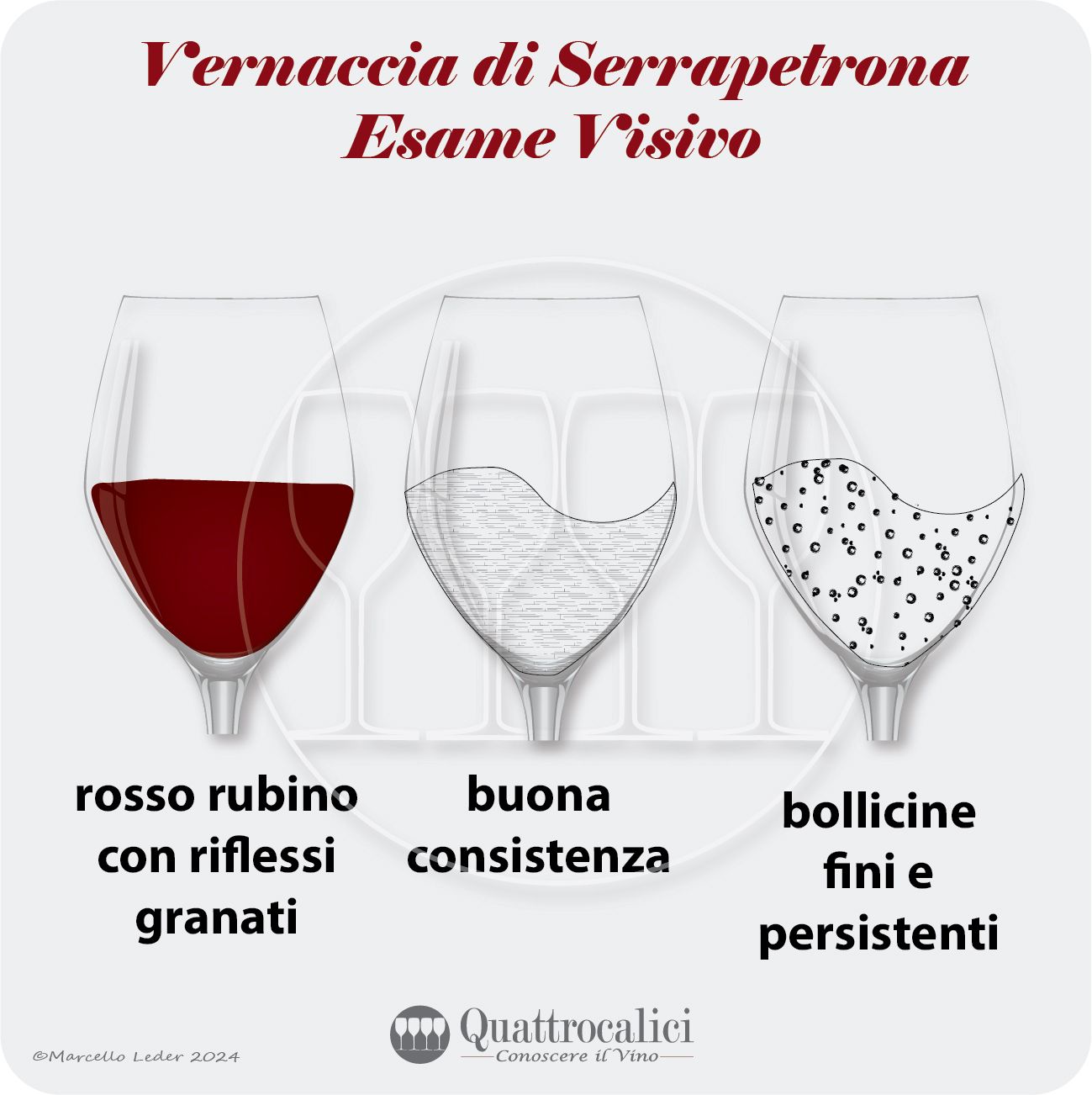 L'esame visivo della vernaccia di serrapetrona