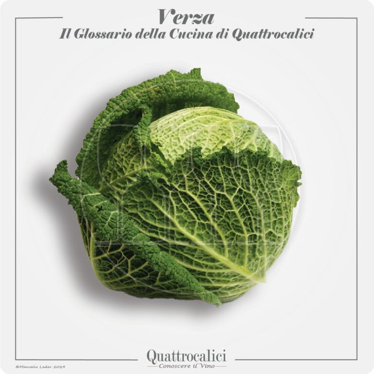 la verza in cucina e con i vini