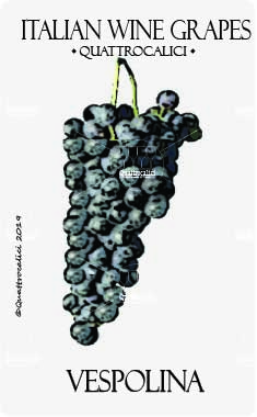vespolina vitigno