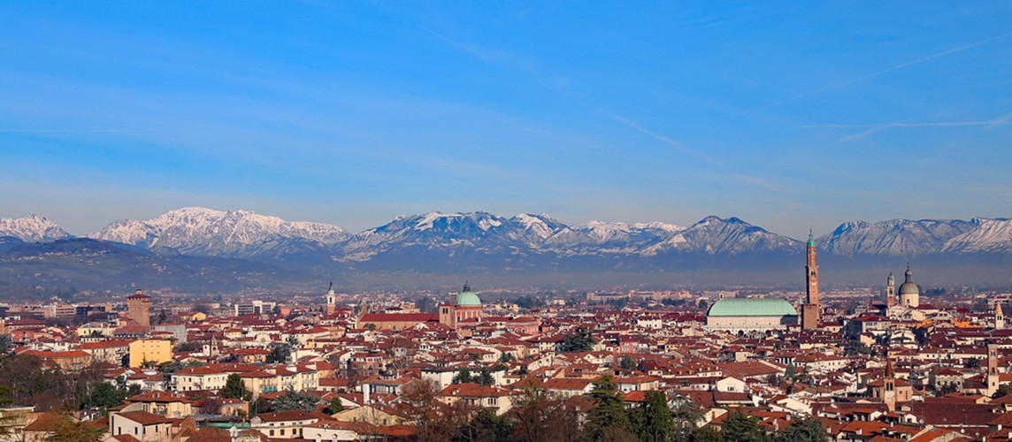 Vicenza vino