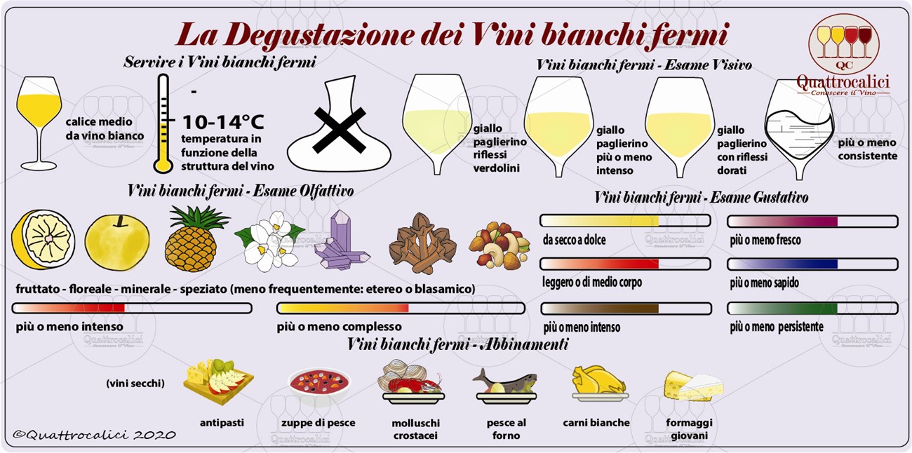 vini bianchi fermi degustazione