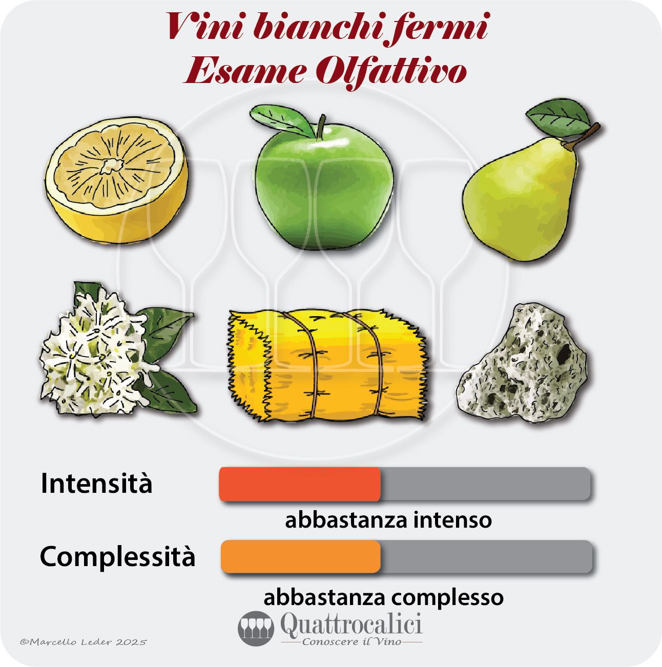 L'esame olfattivo dei vini bianchi fermi