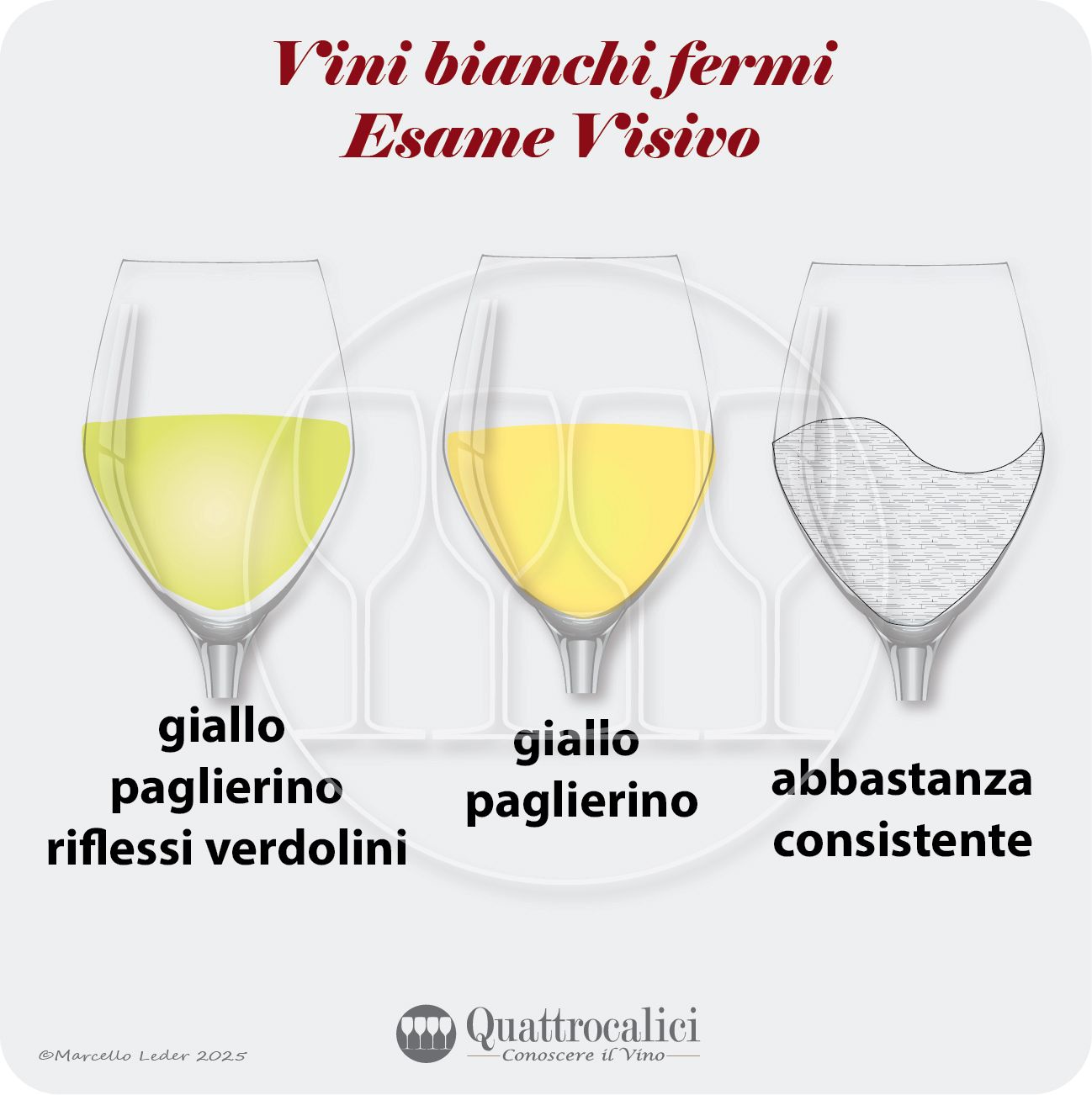 L'esame visivo dei vini bianchi fermi