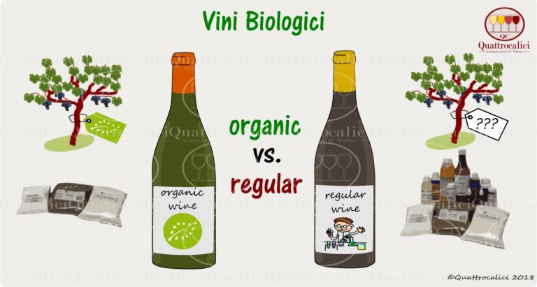 Vini biologici