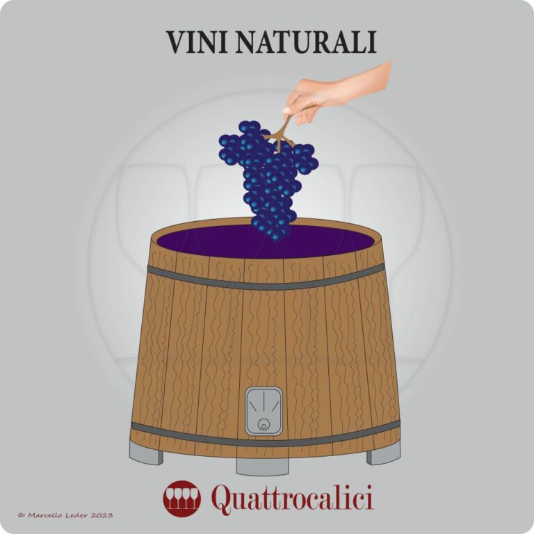 vini naturali