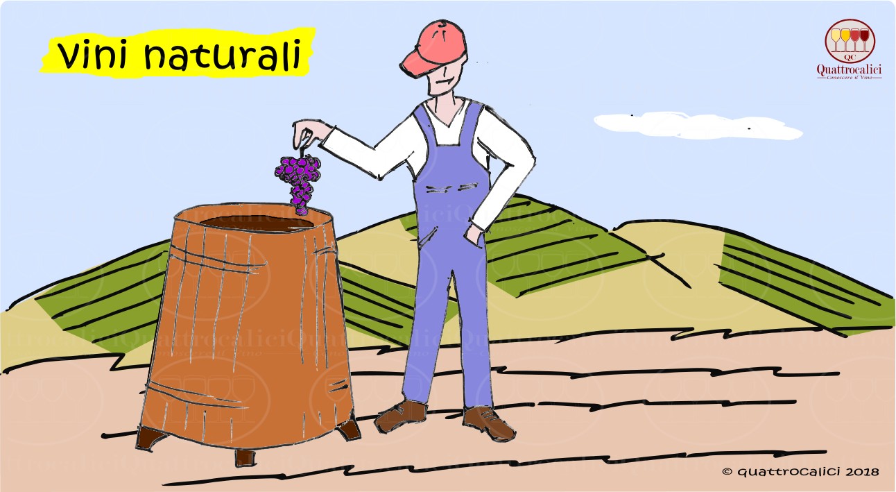 Il vino naturale