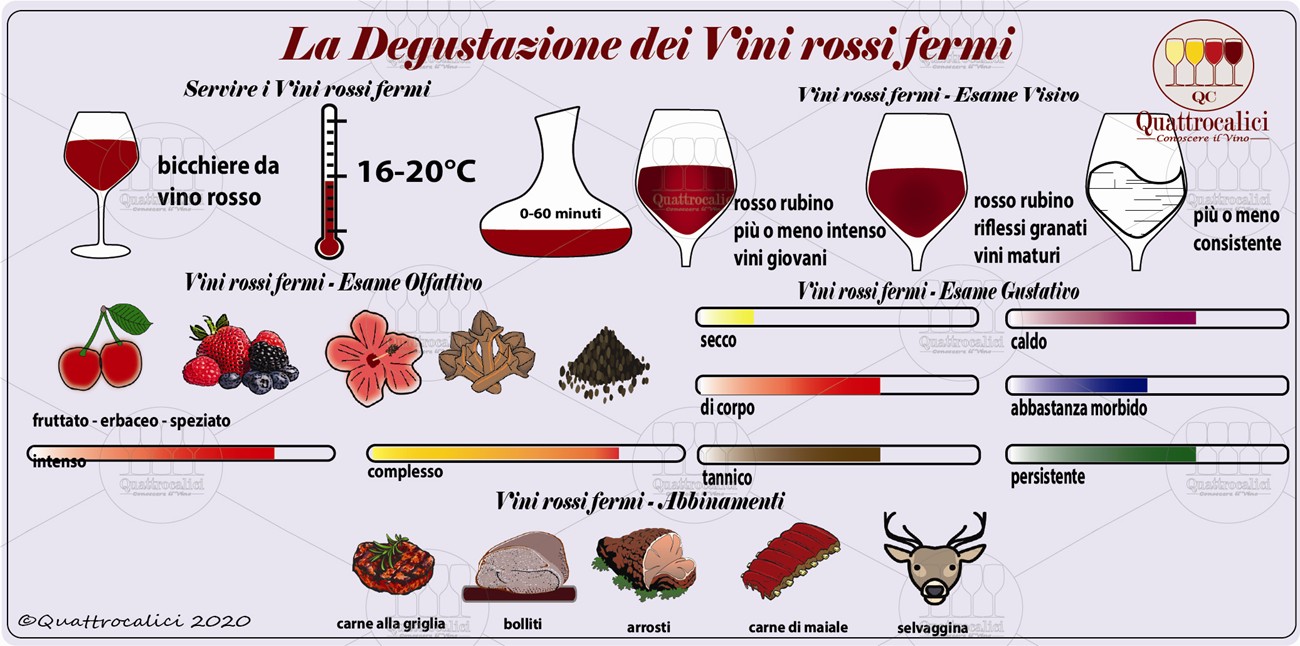 vini rossi fermi degustazione