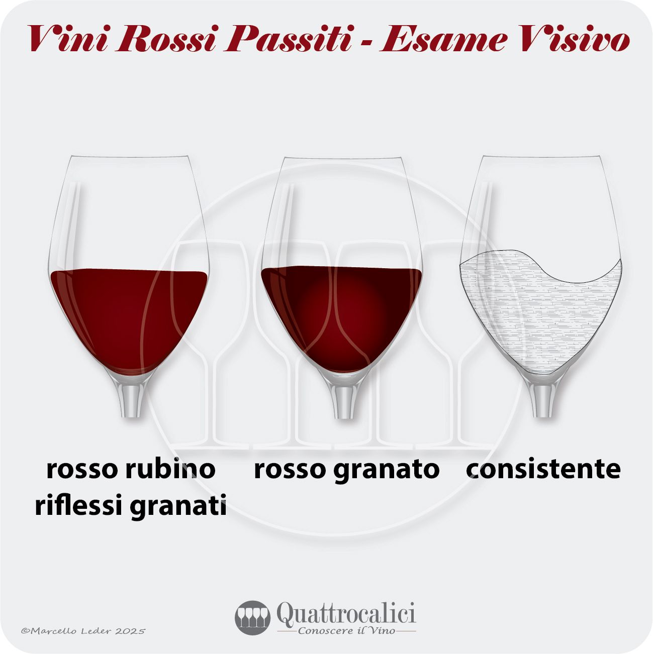 L'esame visivo dei vini rossi passiti