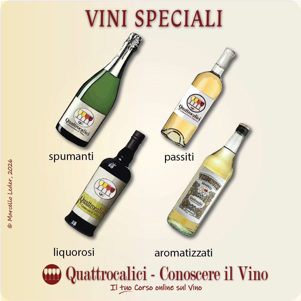 Cosa si intende per vini speciali
