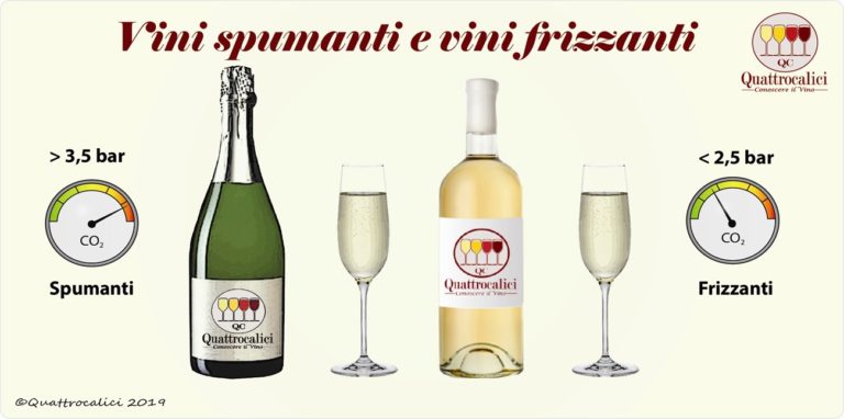 I vini spumanti e i vini frizzanti