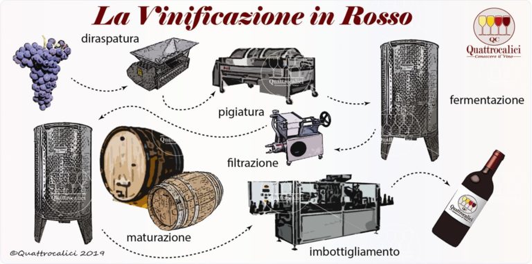 vinificazione in rosso