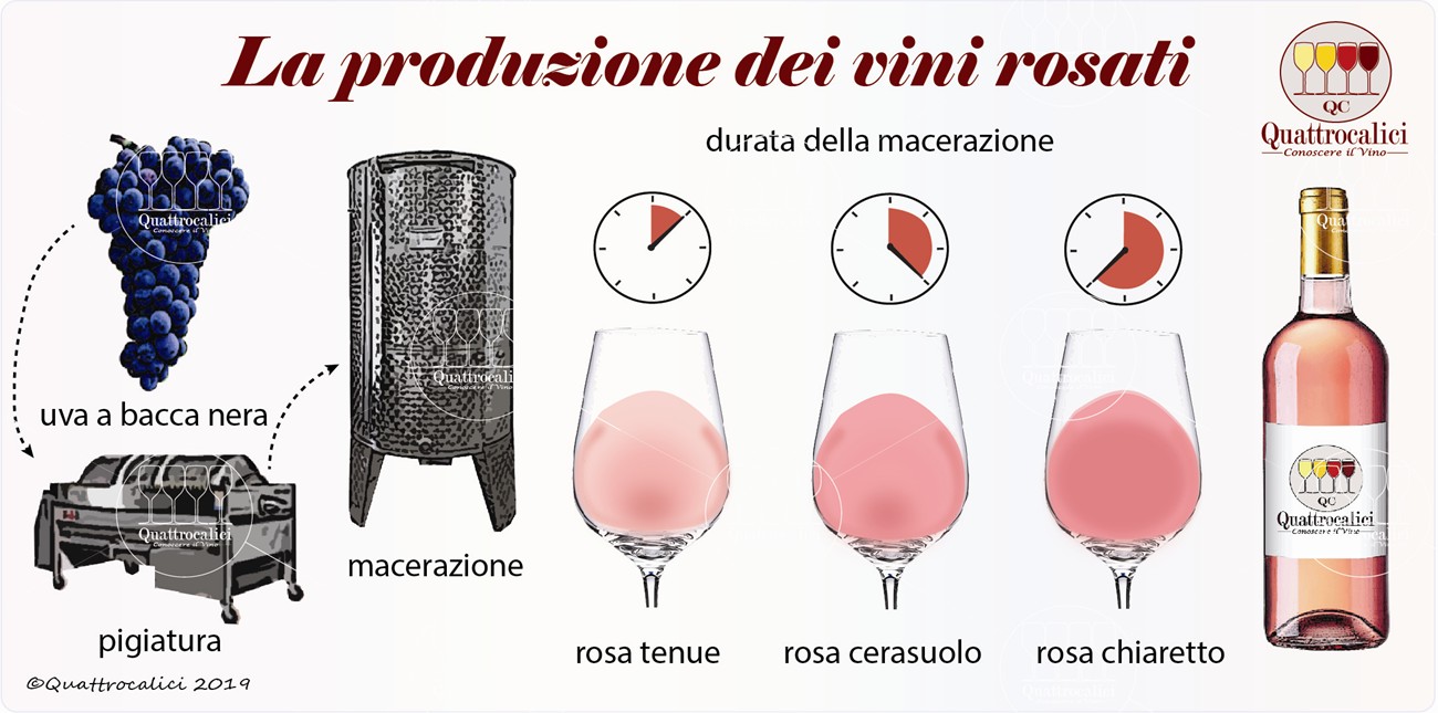 produzione vini rosati, vinificazione in rosato