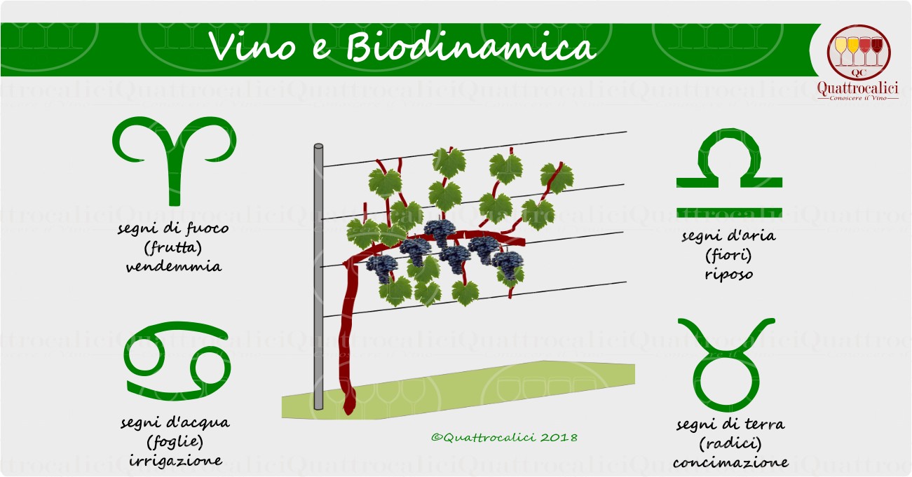 vino-e-biodinamica