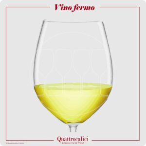 vino fermo