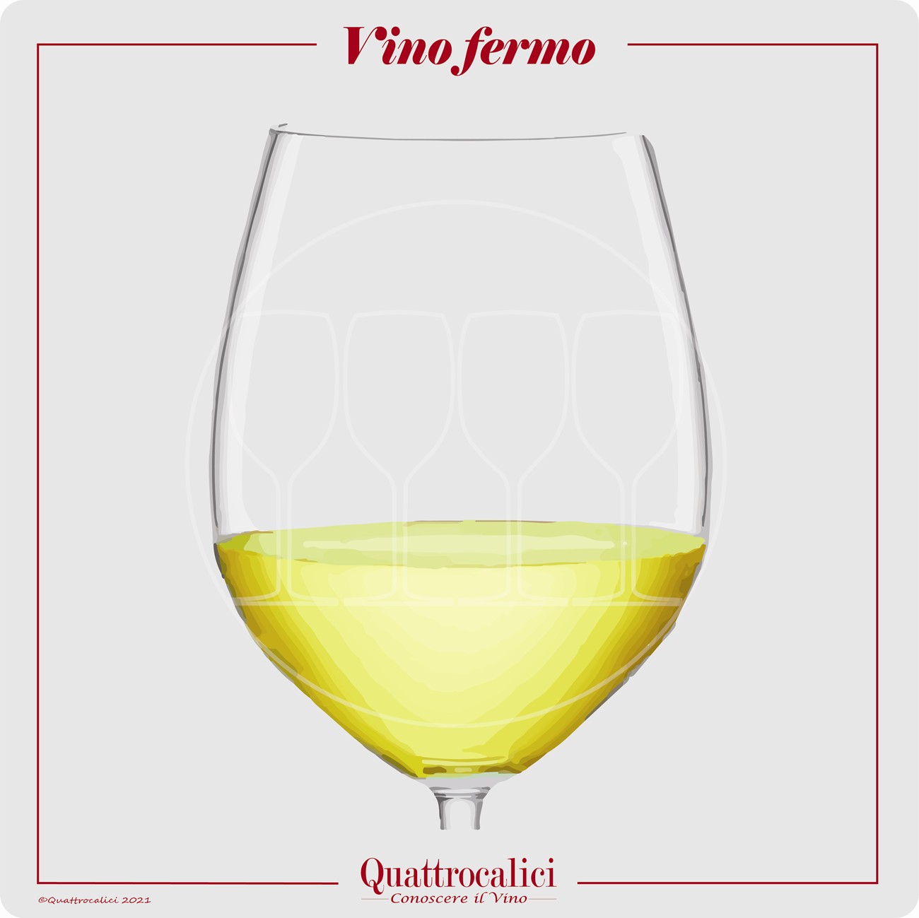 vino fermo