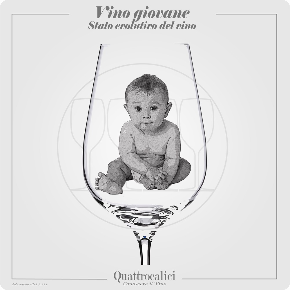 vino giovane