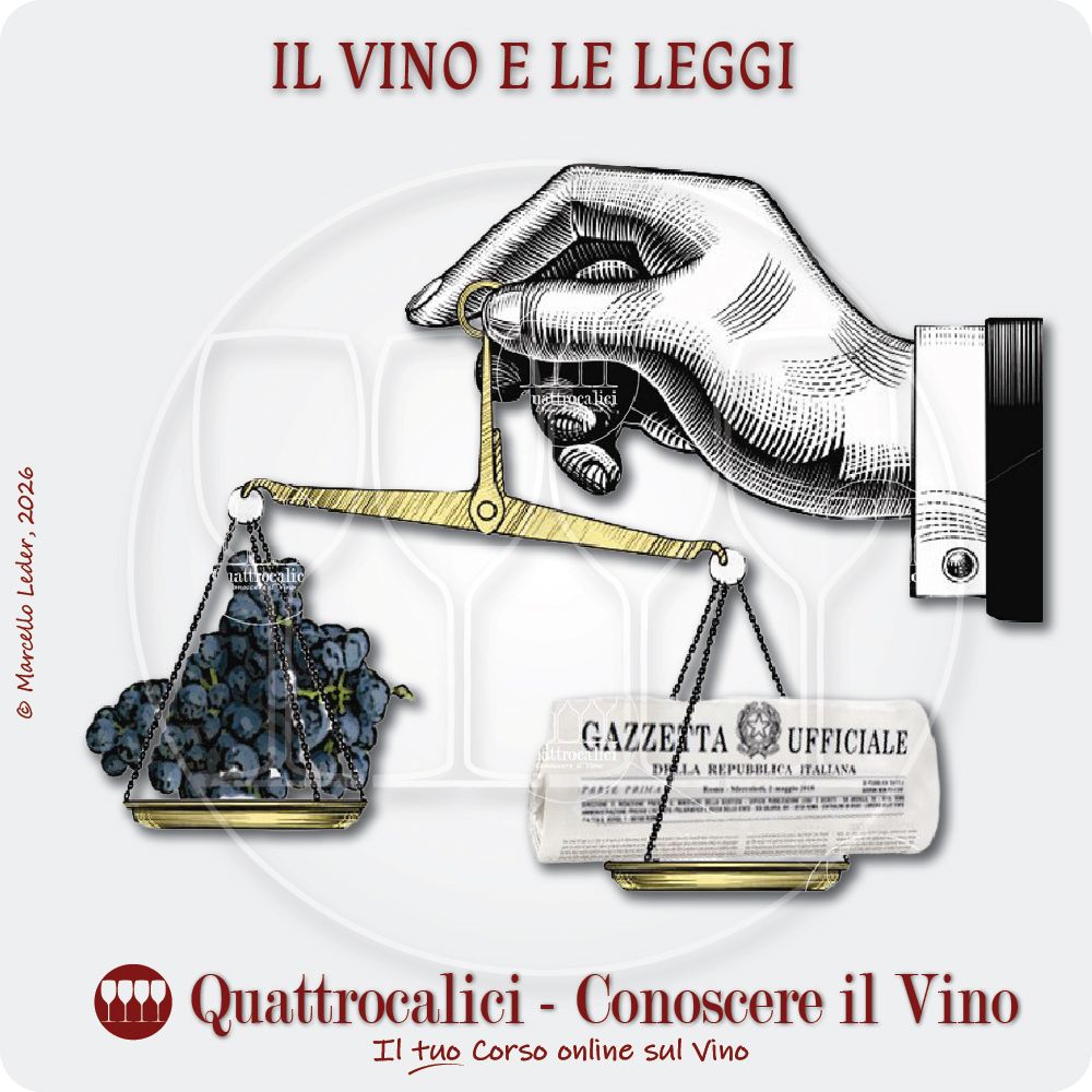 Il Vino e la Legge